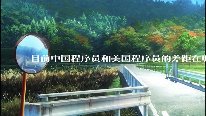 目前中国程序员和美国程序员的差距在哪里？
