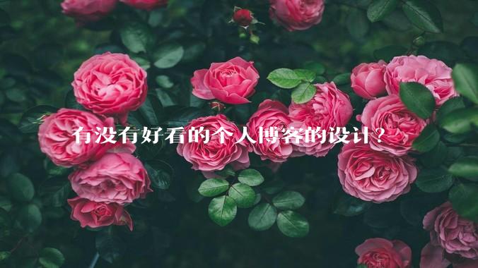 有没有好看的个人博客的设计？