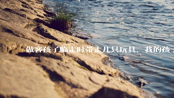 做客孩子临走时带走几只玩具，我的孩子抗拒并一直哭，要怎么开导？