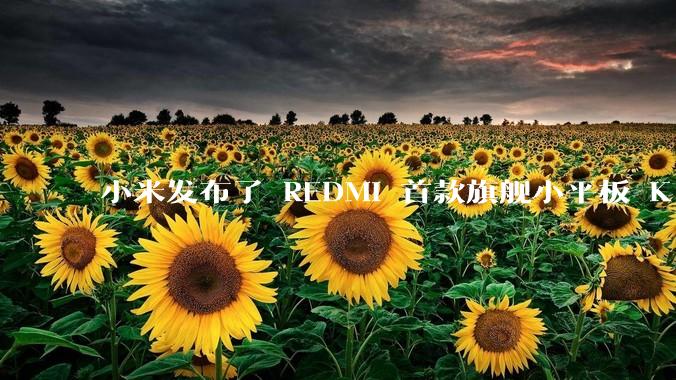 小米发布了 REDMI 首款旗舰小平板 K Pad，仅 8.8 英寸，小巧便携，如何评价这一设计？
