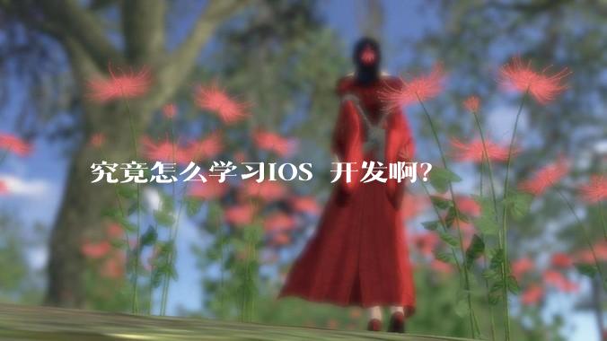 究竟怎么学习IOS 开发啊？