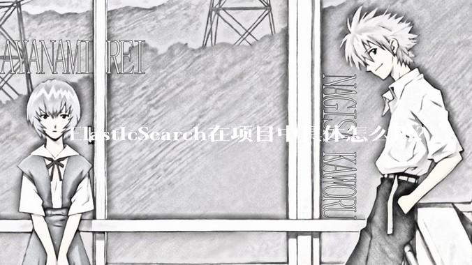 ElasticSearch在项目中具体怎么用？